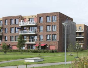 cornelie-_header2 (1)